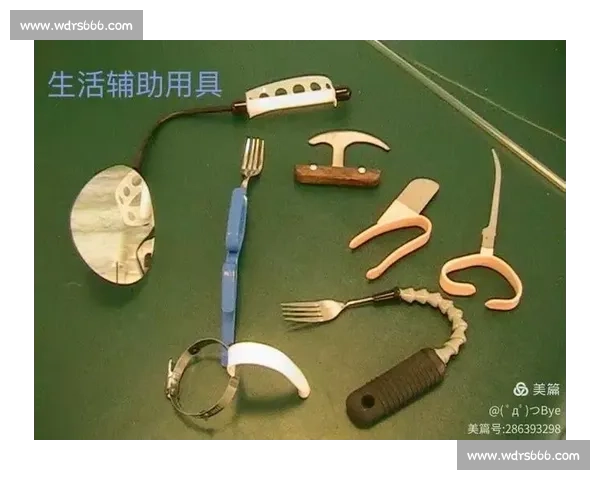 以功能训练提升身体能力与日常生活自理综合方案