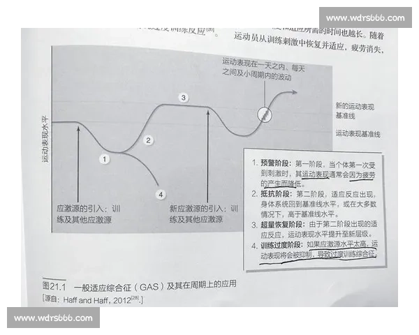体育科学理论指导下运动训练优化与运动表现提升研究 体育科学理论指导下运动训练优化与运动表现提升研究